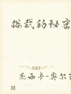 总裁的秘密情人