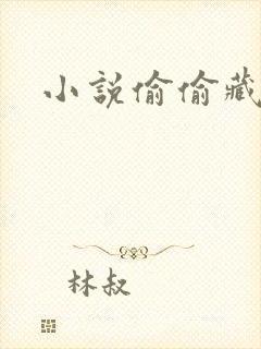 小说偷偷藏不住