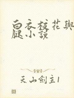 白衣校花与大长腿小说