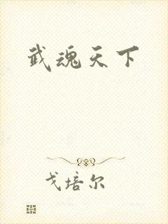 武魂天下