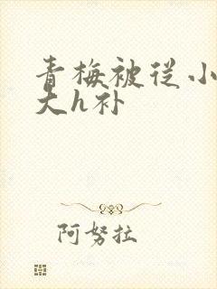 青梅被从小摸到大h补封面