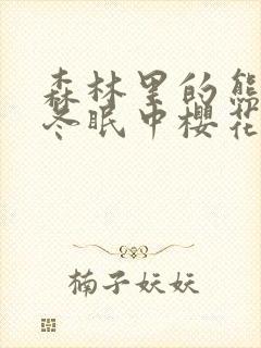 森林里的熊先生冬眠中樱花动漫