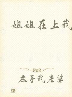 姐姐在上我在下封面