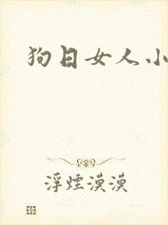 狗日女人小说