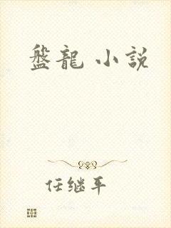 盘龙 小说