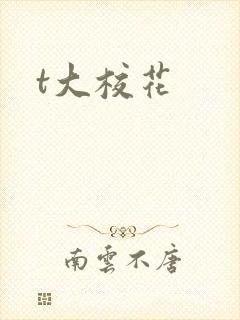 t大校花