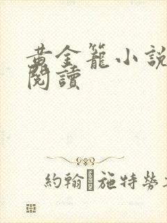 黄金笼小说免费阅读