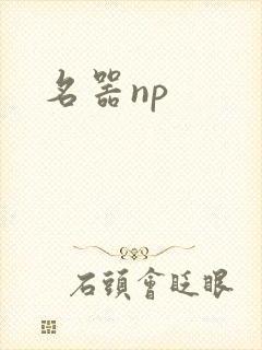 名器np