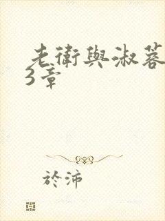 老卫与淑蓉第13章