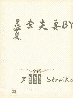 寻常夫妻BY写夏