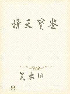 情天宝鉴封面