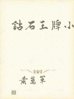 钻石王牌小说封面