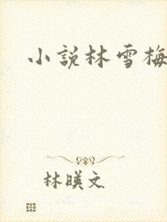 小说林雪梅