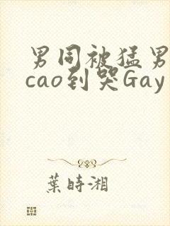男同被猛男房东cao到哭Gay