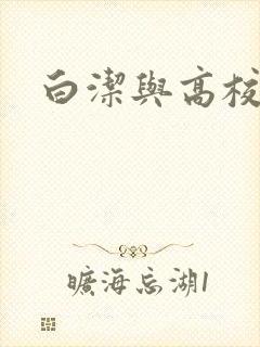 白洁与高校长封面