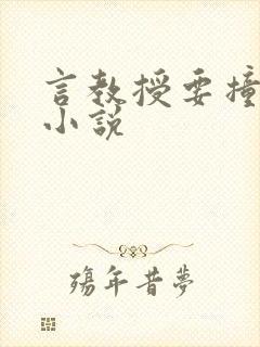 言教授要撞坏了小说