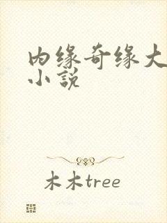 内缘奇缘大团圆小说