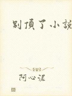 别顶了小说封面