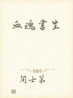 血魂书生封面