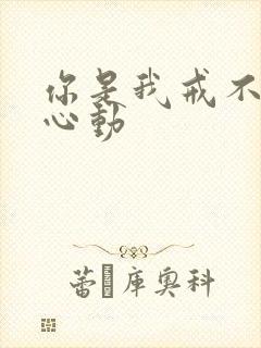 你是我戒不掉的心动