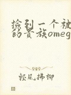 捡到一个被抹布的贵族omega封面