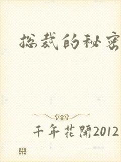 总裁的秘密情人