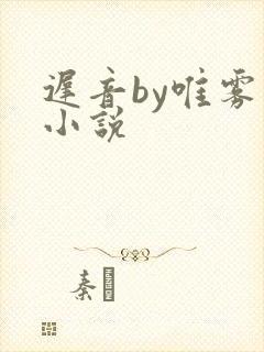 迟音by唯雾的小说封面