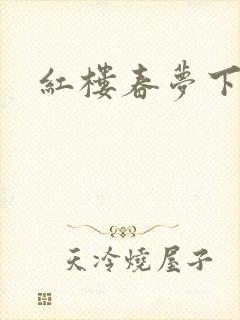 红楼春梦下载封面