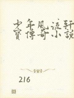 少年风流轩辕大宝传奇小说