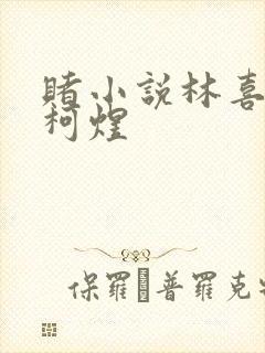 赌小说林喜朝和柯煜