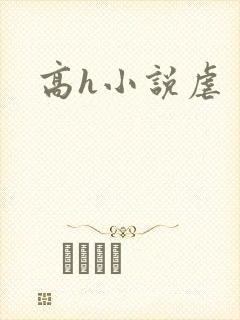 高h小说虐封面
