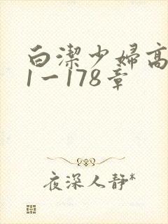 白洁少妇高义第1一178章