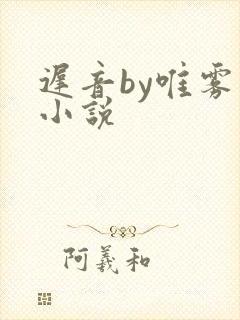 迟音by唯雾的小说