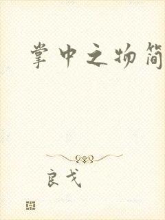 掌中之物简介封面