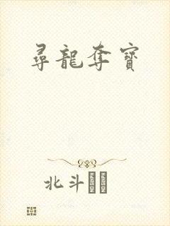 寻龙夺宝