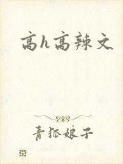 高h高辣文