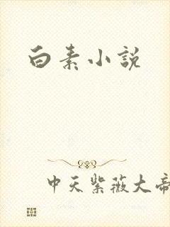 白素小说封面