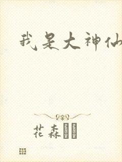 我是大神仙小说