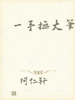 一手抚大笔趣阁封面