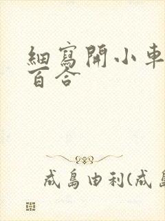 细写开小车车的百合