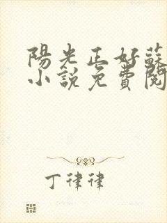 阳光正好苏玥玥小说免费阅读