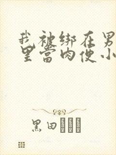 我被绑在男公厕里当肉便小说