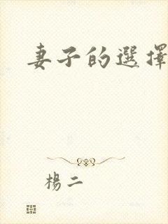 妻子的选择小说