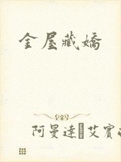 金屋藏娇封面