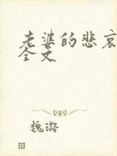 老婆的悲哀小说全文封面