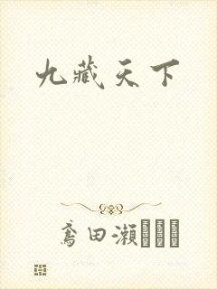 九藏天下