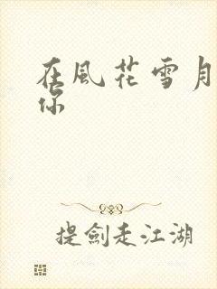 在风花雪月里等你