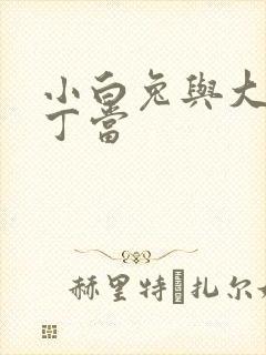 小白兔与大灰狼丁当