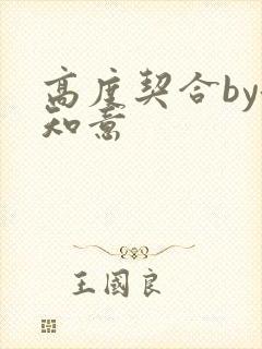 高度契合by洛知意封面
