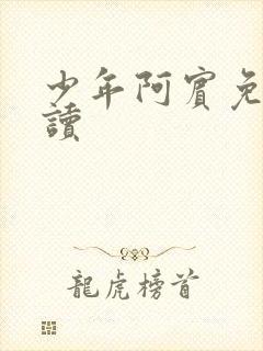 少年阿宾免费阅读